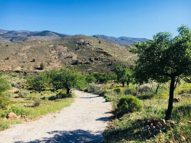 Finca rústica en Venta en  LOS CALEROS en Fondón