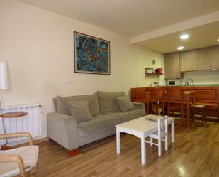 Living room of Flat for sale in Aínsa-Sobrarbe