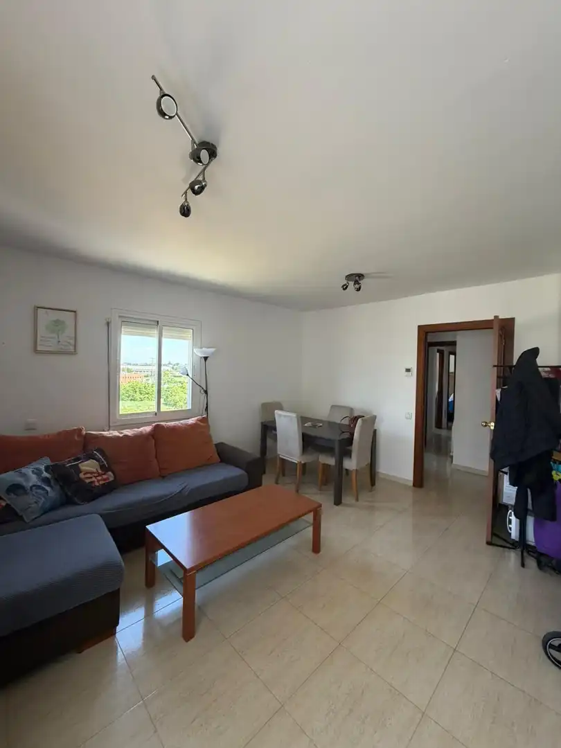Sala de estar de Piso en venta en Lleida con Terraza y Balcón