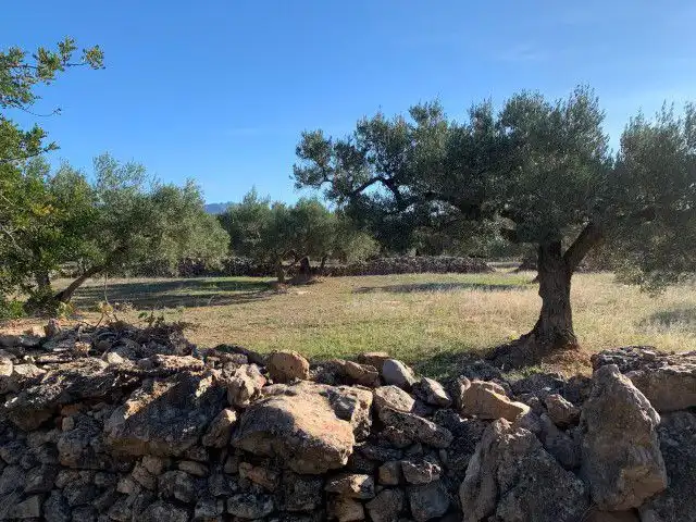 Landhaus zum Verkauf in Xerta, imagen 6