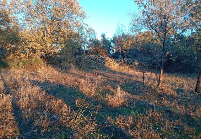 Terreno en Venta en Viandar de la Vera
