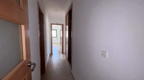 Foto 3 de Piso en venta en Ejido Norte, El Ejido