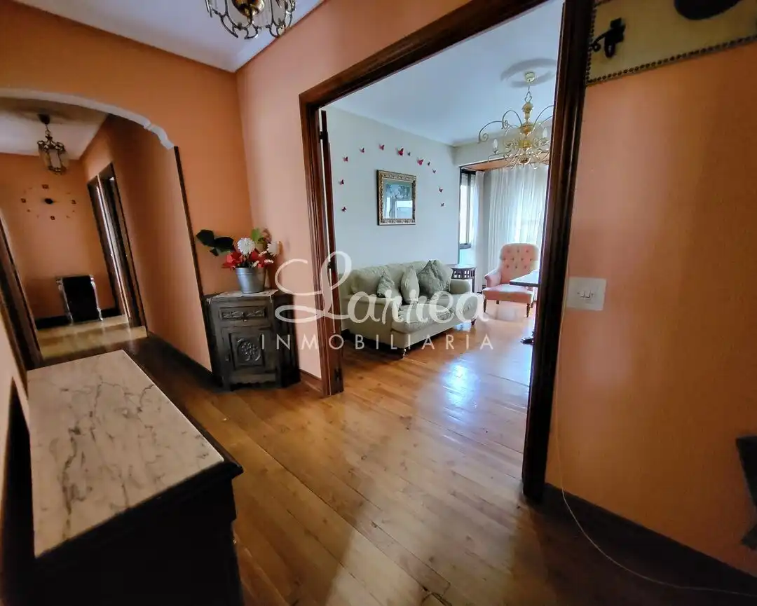 Wohnung mit Terrasse zum Verkauf in Amorebieta-Etxano, imagen 9