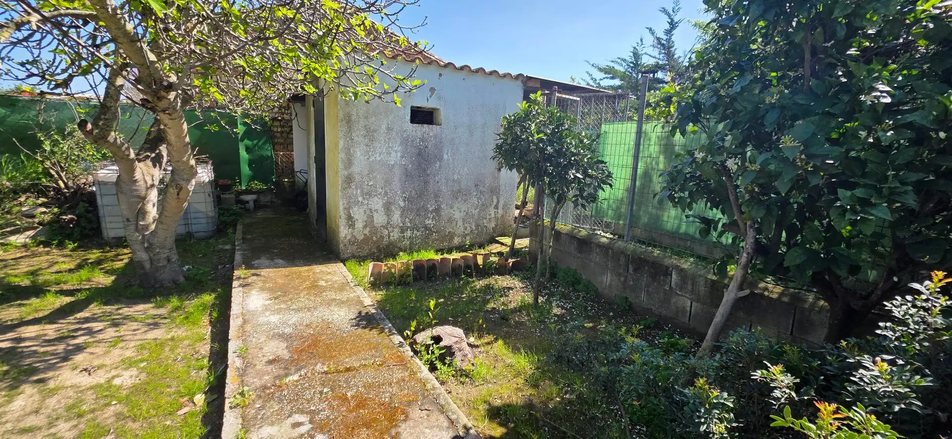 Jardín de Casa o chalet en venta en Chiclana de la Frontera
