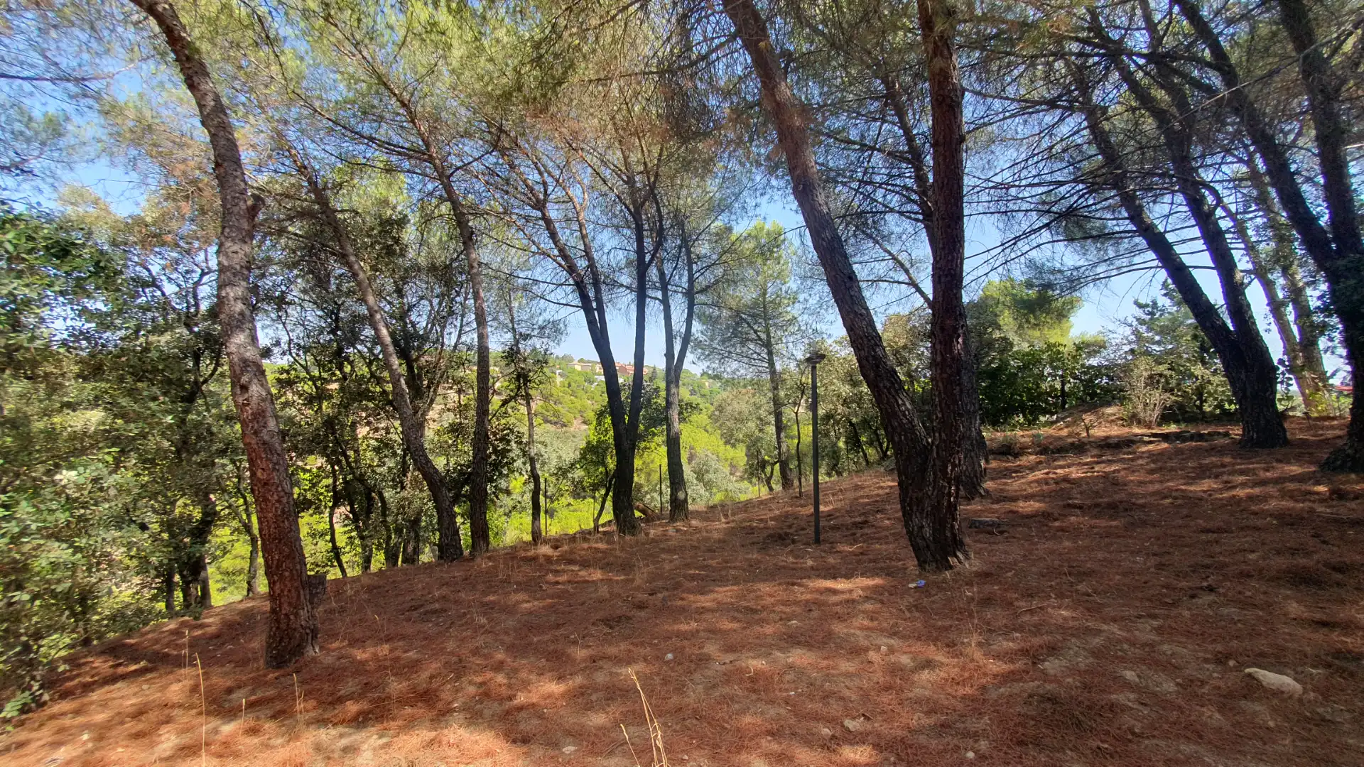 Casa o xalet de lloguer en Valdemorillo amb Calefacció, Jardí privat i Terrassa