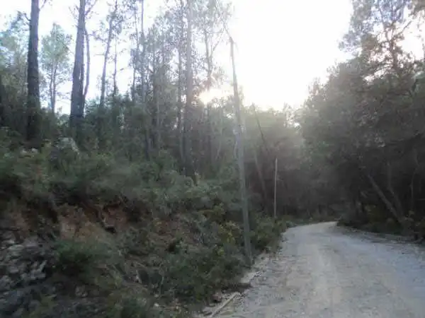 Terreno rustico in vendita a C/ Josep Plá, imagen 6