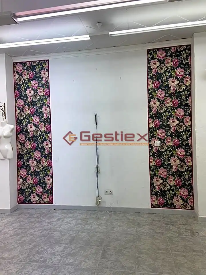Local comercial en venta en Almendralejo, imagen 2
