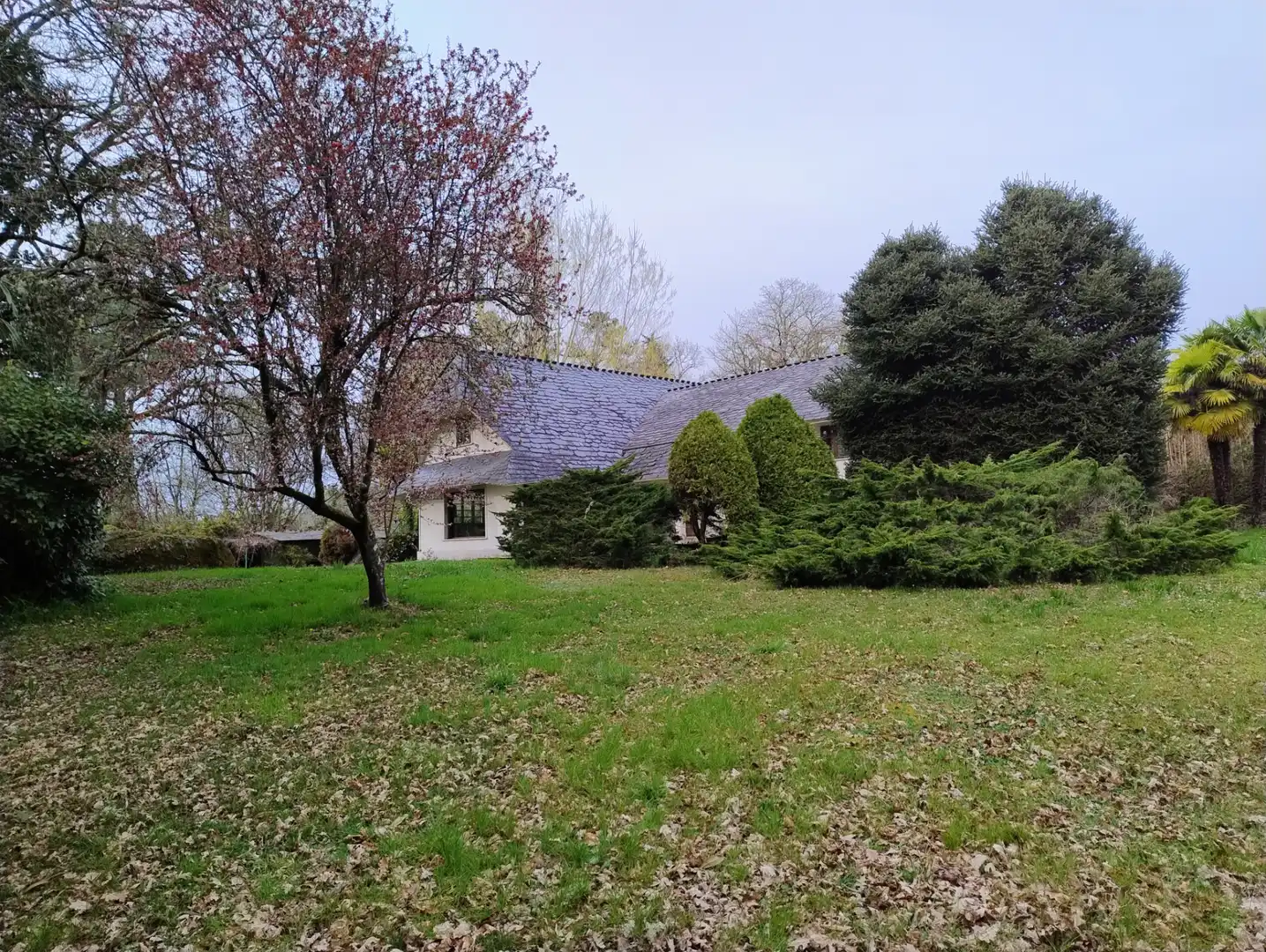 Vista exterior de Casa o chalet en venta en Lugo con Amueblado