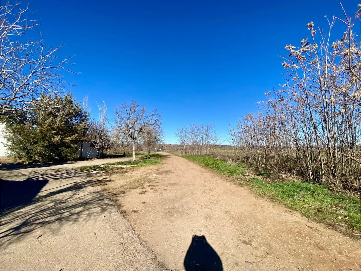 Residencial en venta en Miguelturra
