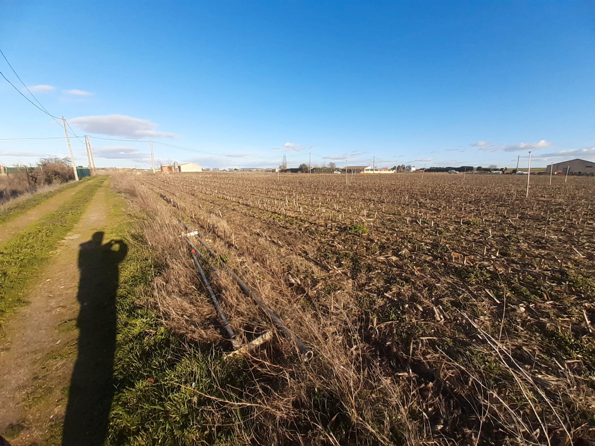 Terreno en venta en Villaralbo