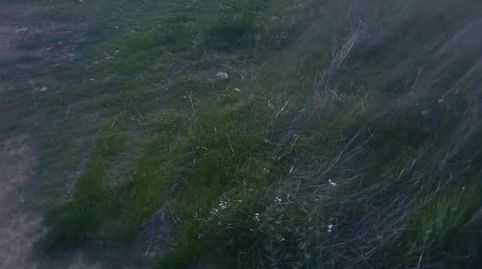 TERRENO 13 HECTAREAS EN CEHEGIN, imagen 3