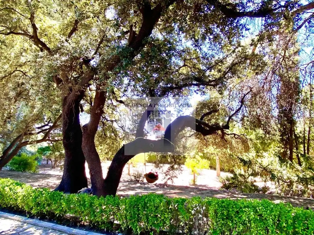 Maison rustique avec piscine à vendre à Muro de Alcoy, imagen 69