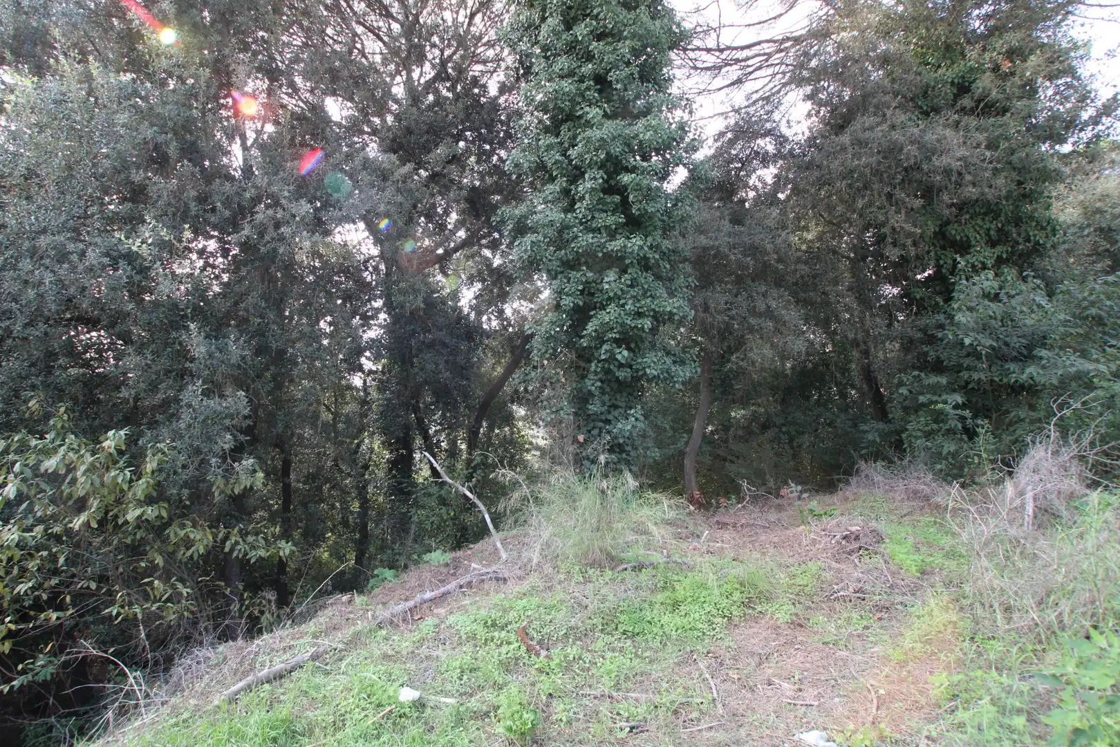 Residencial en venta en Dosrius poble