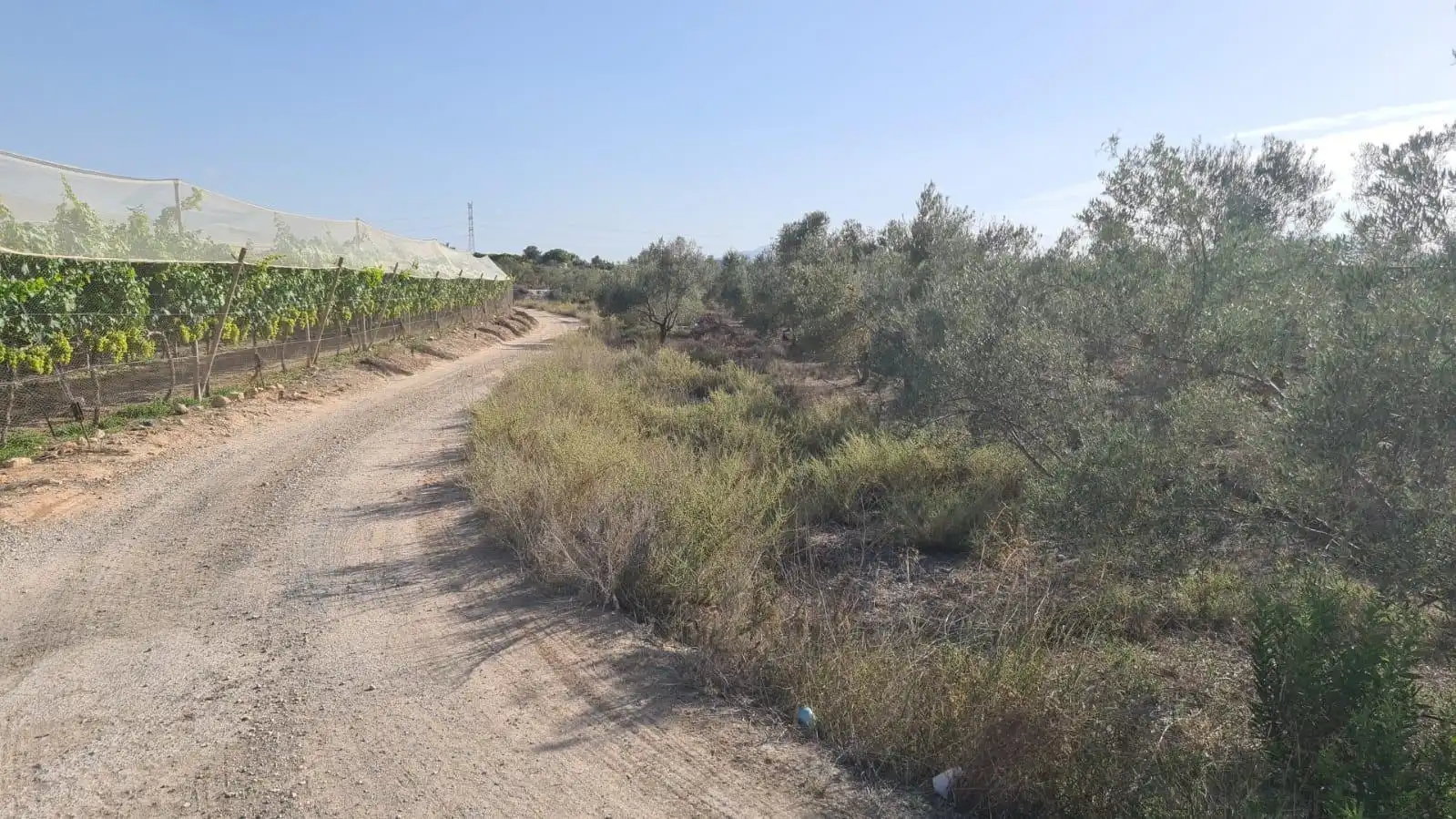 Terrenos y solares en venta en Monforte del Cid, imagen 11