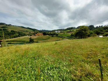 Terreni e lotti in vendita a Rural