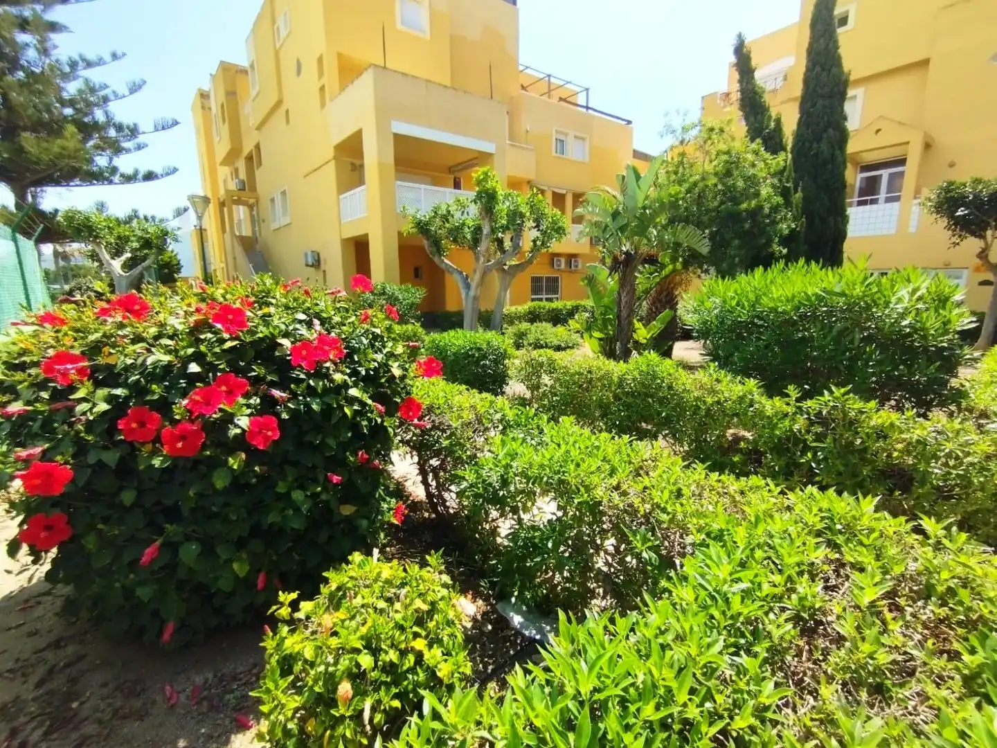 Wohnung zur Miete in Plaza Plaza Garzas, imagen 14