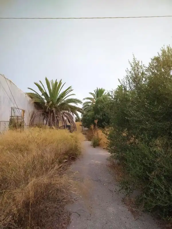 Finca rústica en venta en Elche / Elx con Calefacción