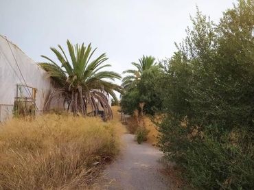 Landhaus zum Verkauf in Asprella