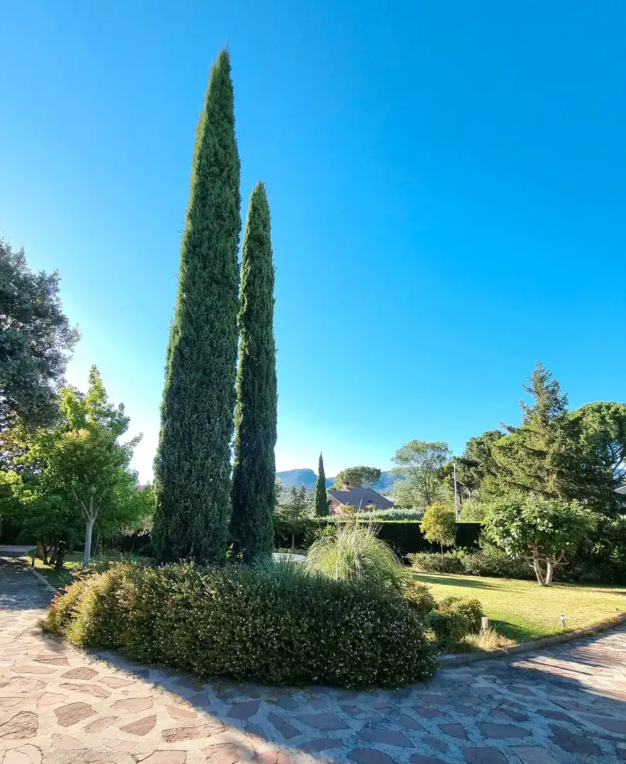 Casa o chalet de alquiler en Calle Enrique Granados, 8, Hoyo de Manzanares