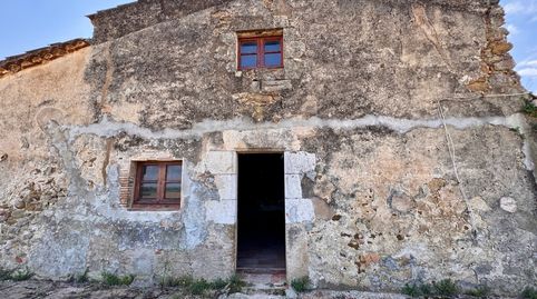 BAIX EMPORDÀ, LA BISBAL D’EMPORDÀ, MASI, imatge 5