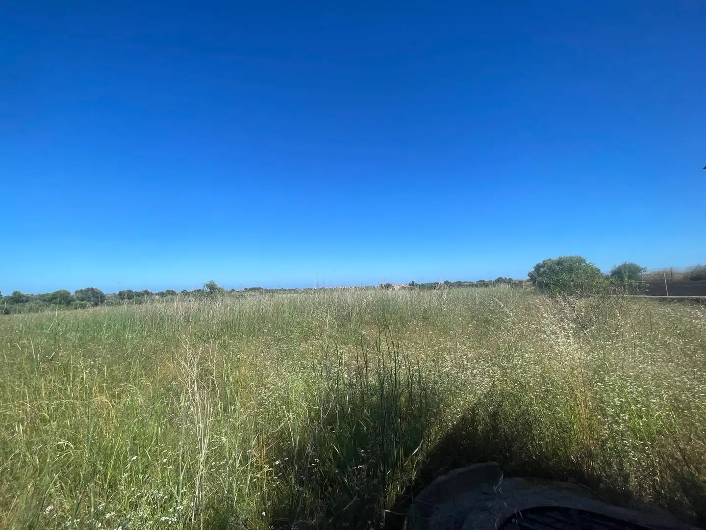 Land for sale in Alcalà de Xivert
