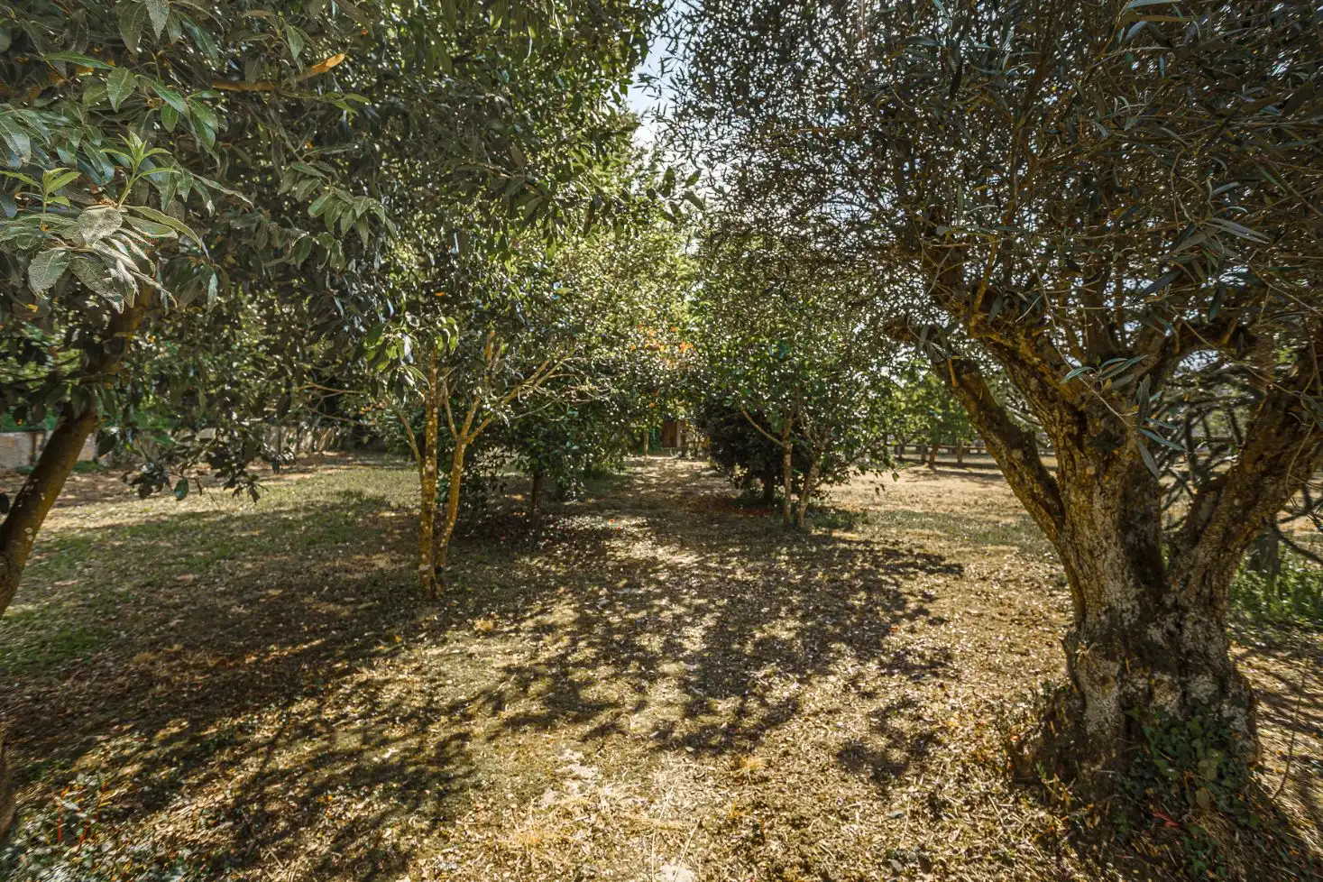 Finca rústica en venda en Cospeito