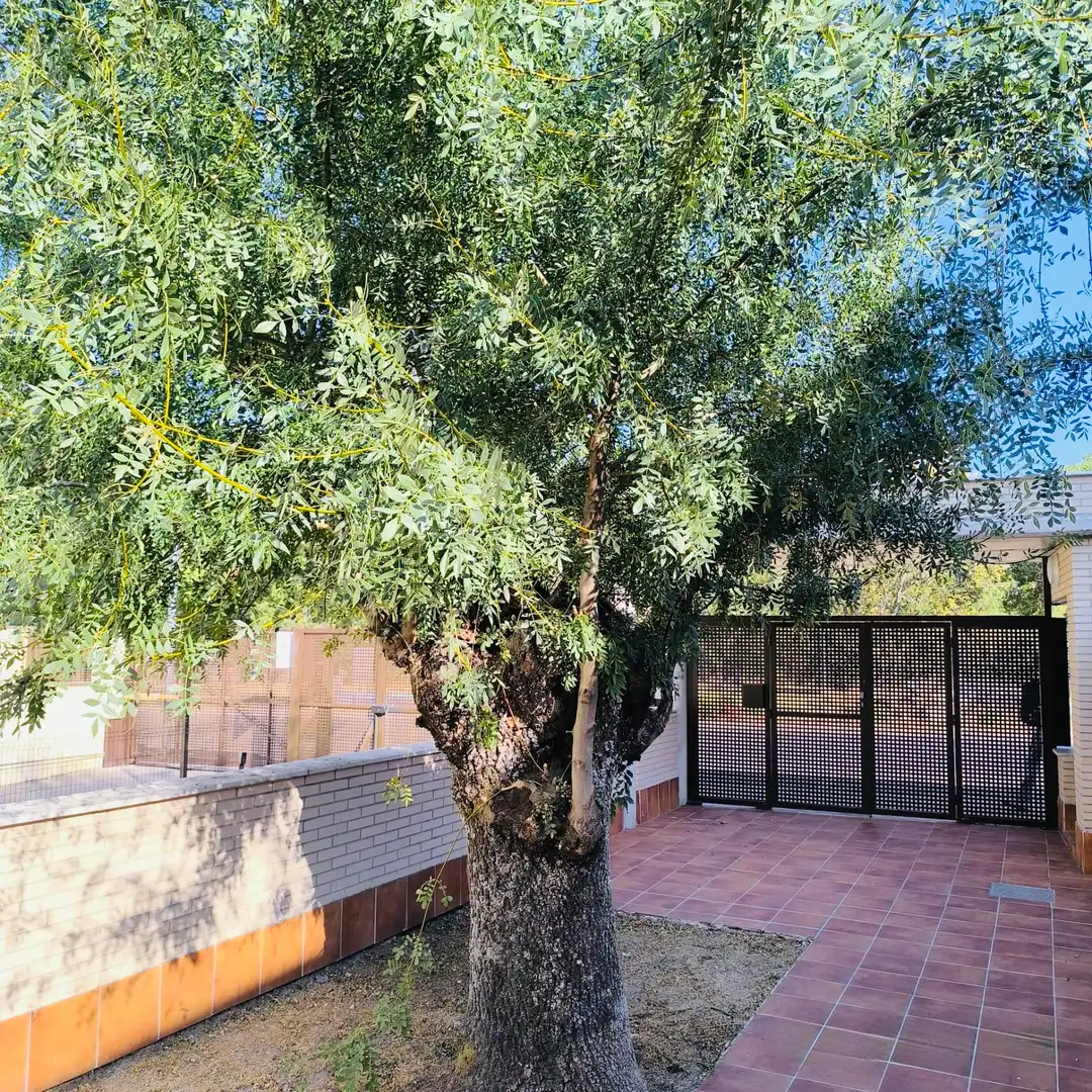 Garden of Flat for rent in Moralzarzal  with Heating, Terrace and Storage room