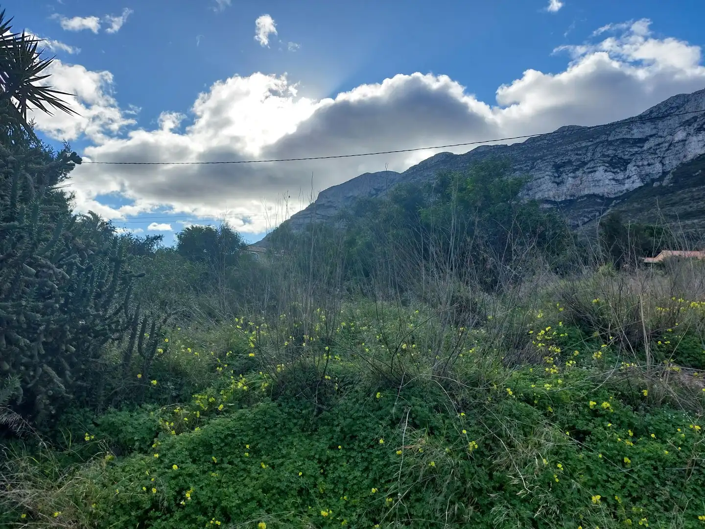 Residencial en venta en Dénia