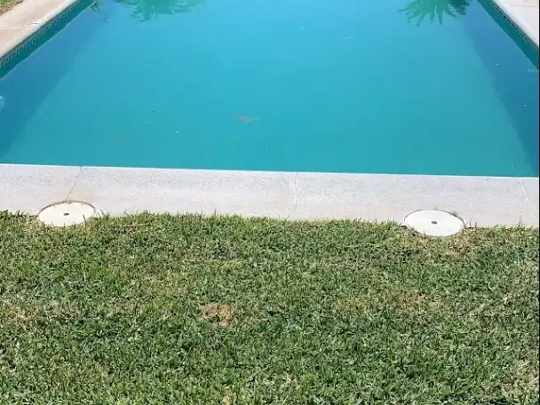 Schwimmbecken von Wohnung zur Miete in Molvízar, Granada