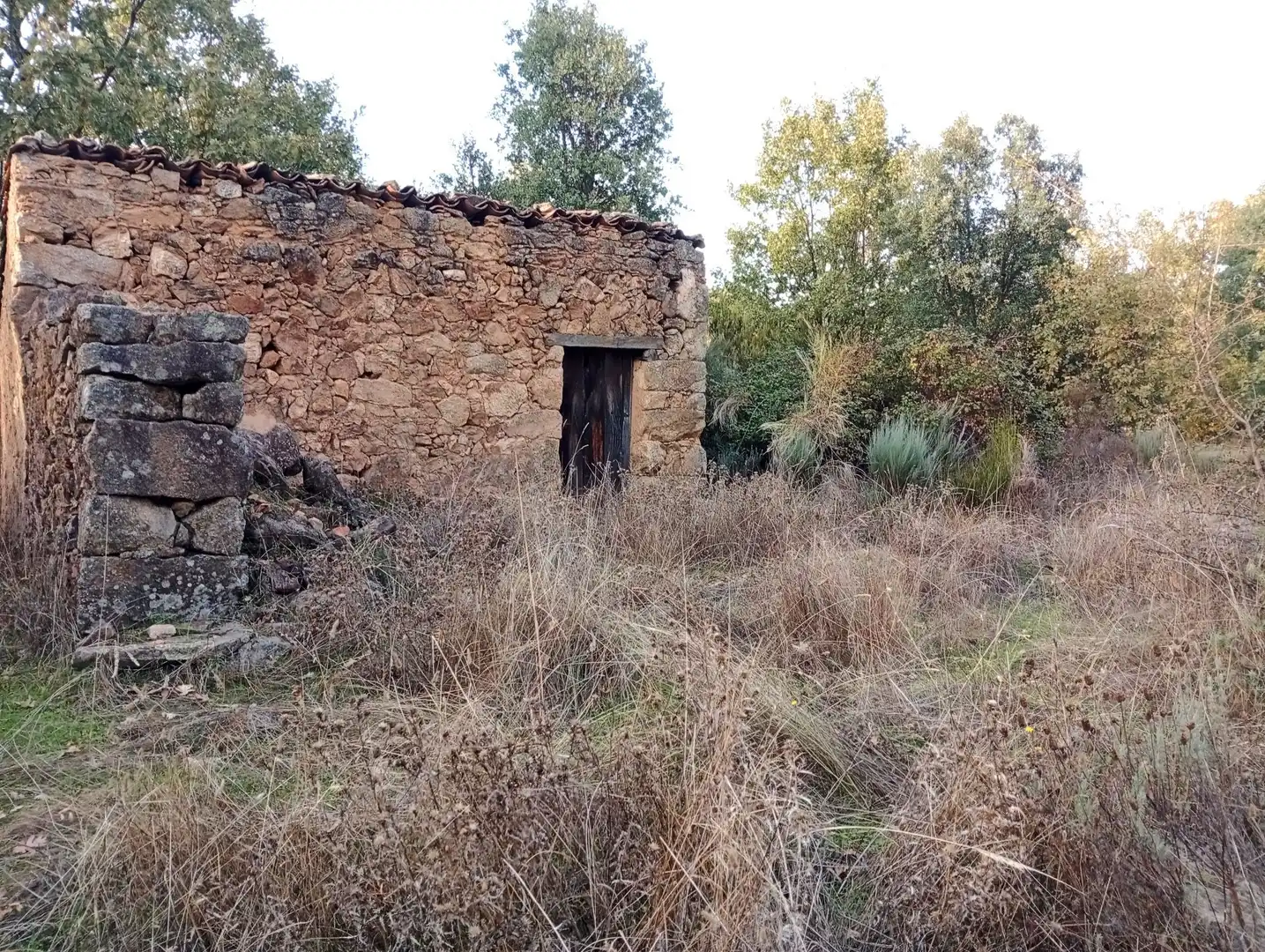 Terreni e lotti in vendita a Villanueva de la Vera, imagen 35
