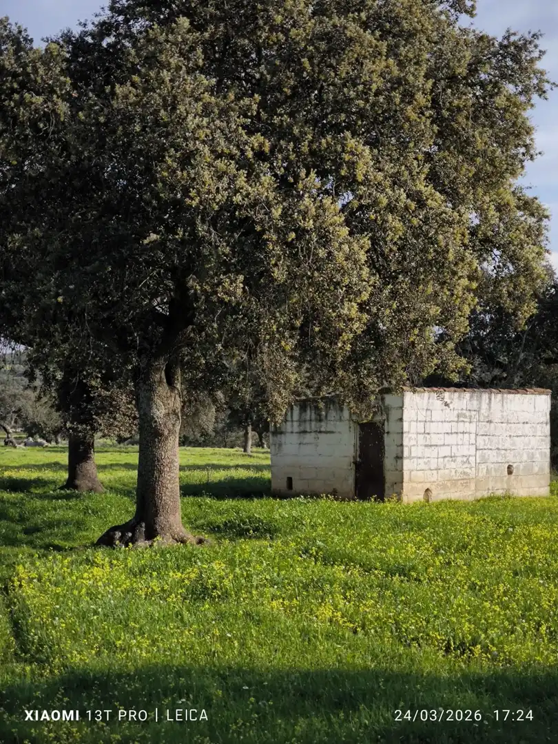 Jardí de Residencial en venda en Fuente Obejuna