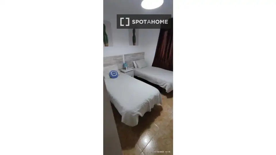 Room in Barranco Grande