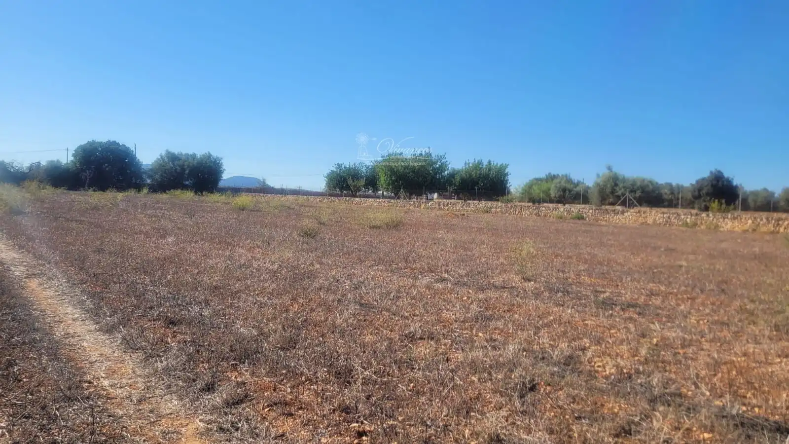 Terreno rustico in vendita a N/A, imagen 6