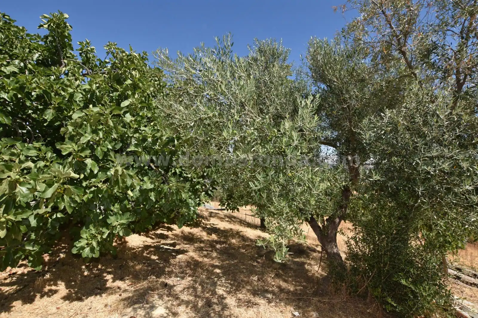 Finca rústica en venda en Ronda amb Terrassa i Traster