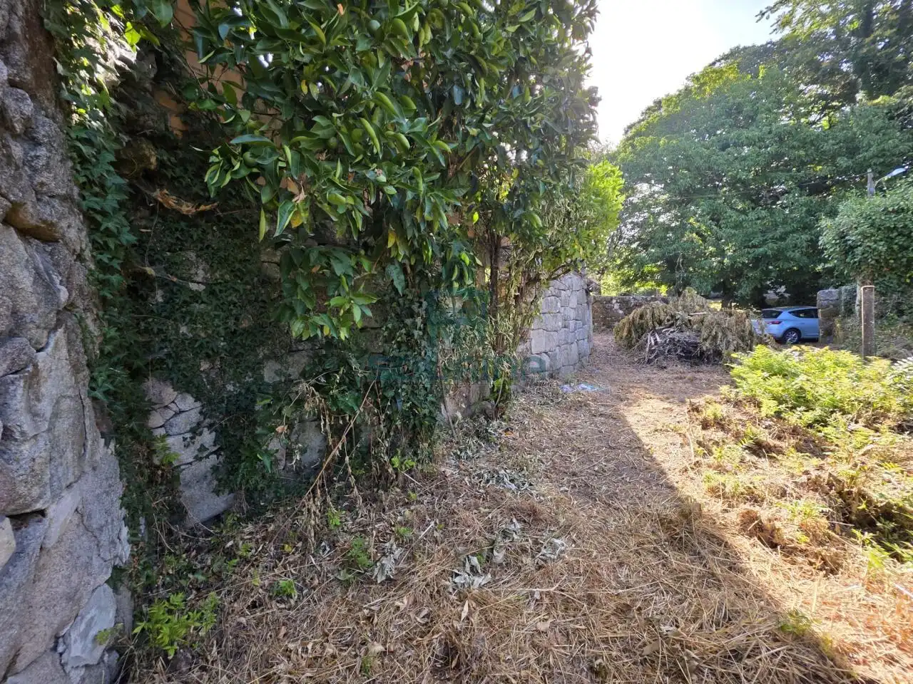 Casa con jardín en venta en O Pereiro de Aguiar, imagen 13