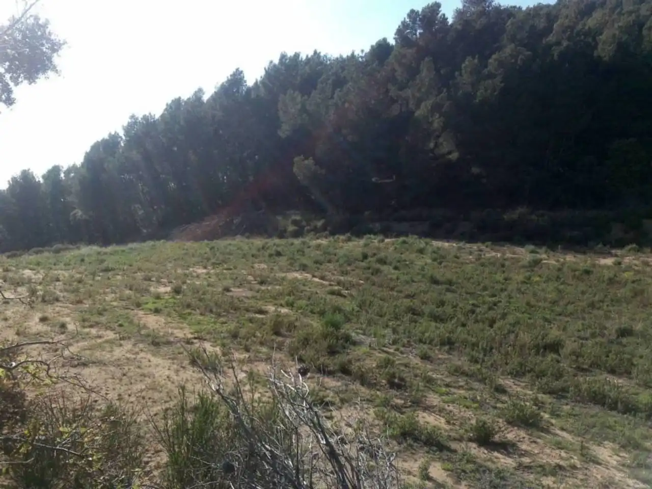 Residencial en venda en Vilaplana