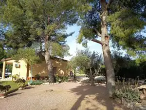 Jardí de Finca rústica en venda en Mutxamel amb Aire condicionat, Jardí privat i Terrassa