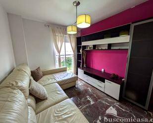 Sala d'estar de Pis de lloguer en Linares amb Aire condicionat i Moblat