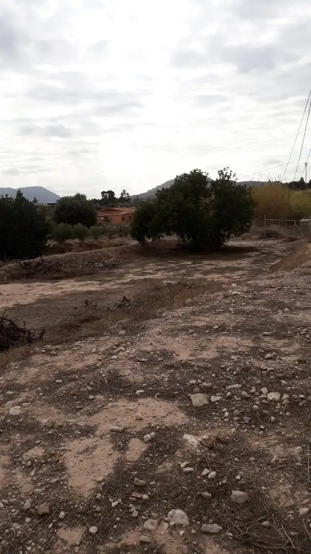Finca rústica en venda en Alicante / Alacant amb Jardí privat