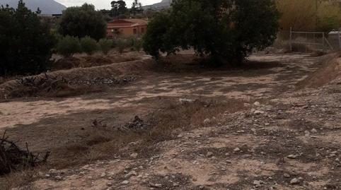 Foto 3 de Finca rústica en venda a Moralet, Alicante