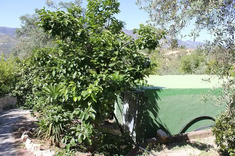Country house for sale in Lecrín, imagen 34