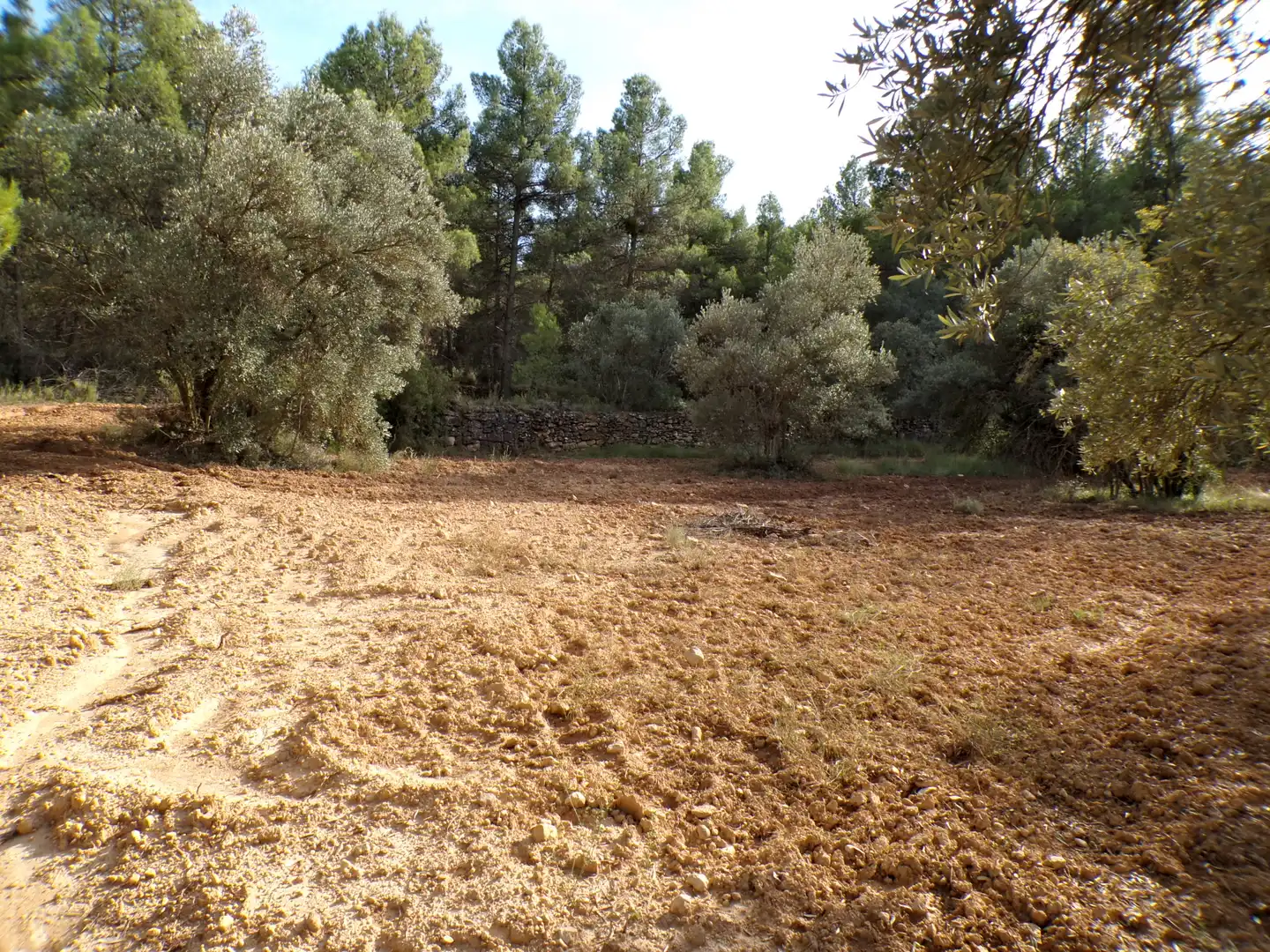 Terreni e lotti in vendita a La Fresneda, imagen 4