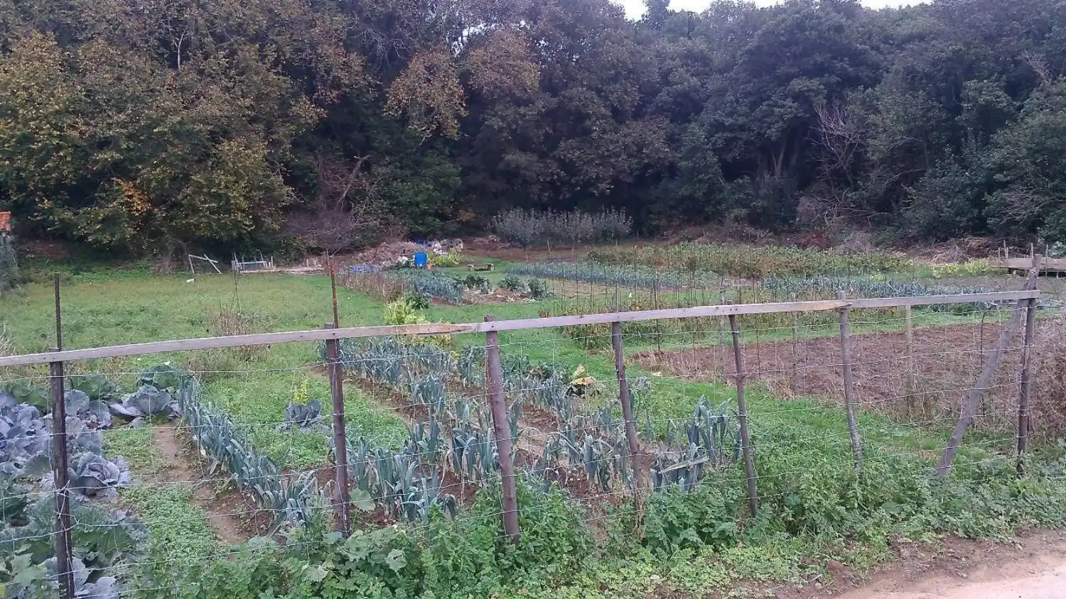 Jardí de Residencial en venda en Arnuero