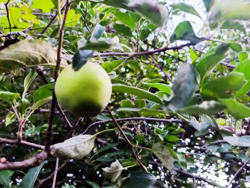 Xalet amb jardí en venda a Avenida Iglesia 29, imagen 17