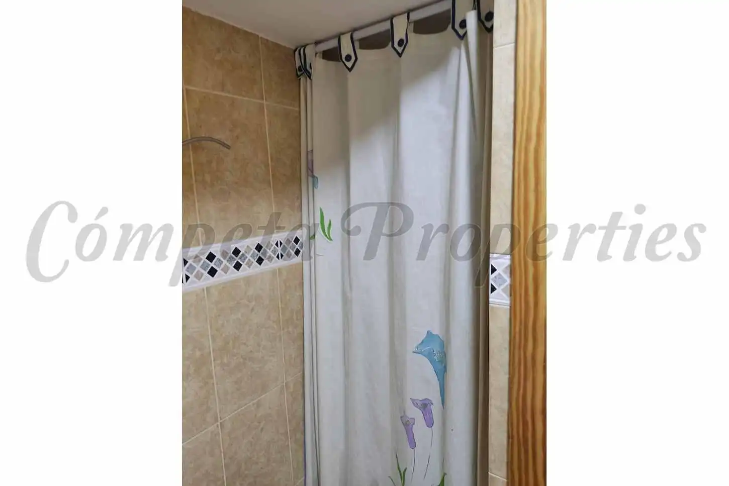 Apartment mit Pool zur Miete in Centro Internacional, imagen 18