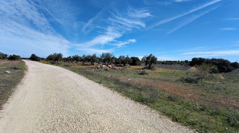 Foto 2 von Grundstücke zum Verkauf in Carretera de Valdilecha, 39, El Mirador - Grillero, Arganda del Rey
