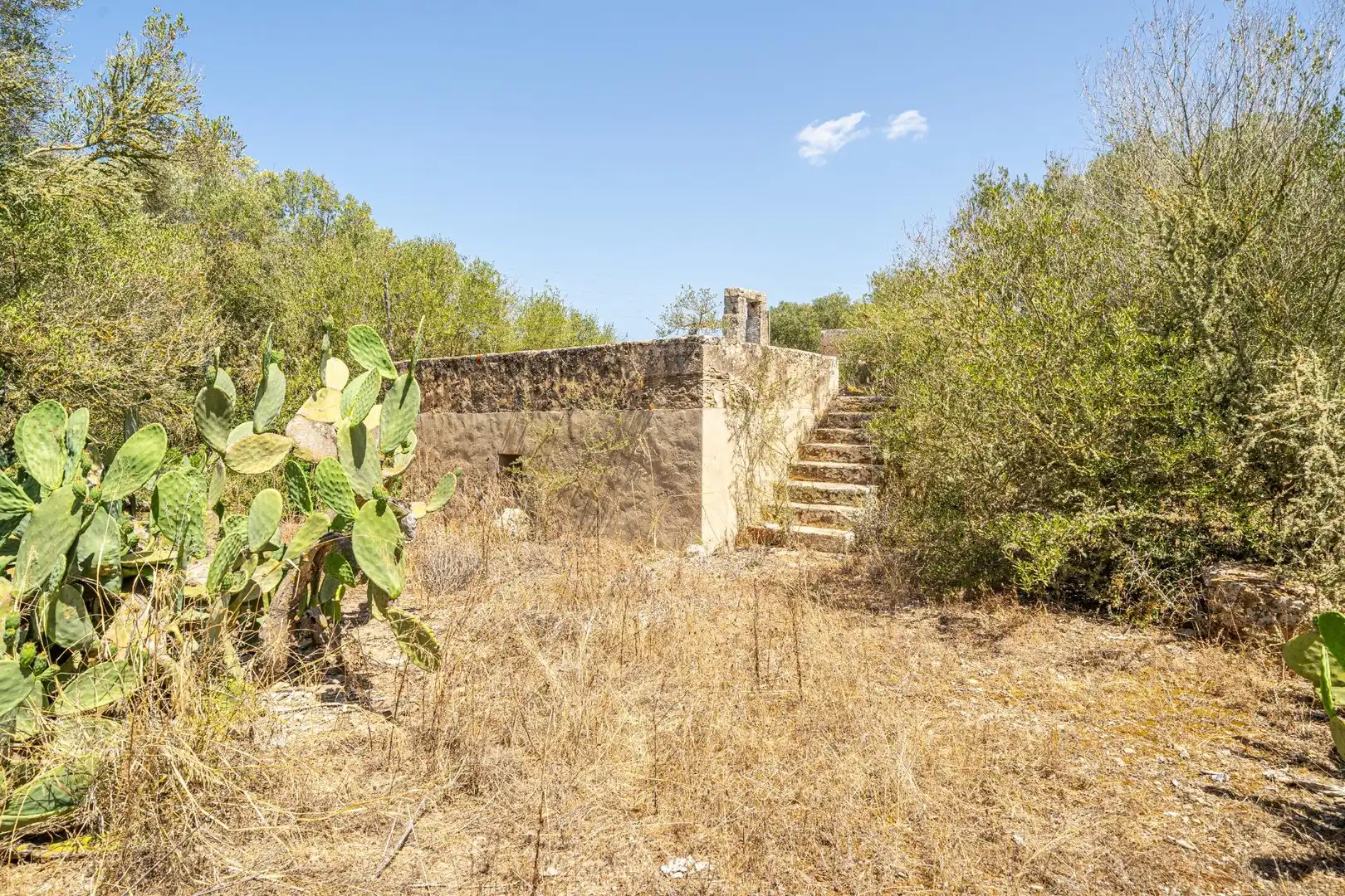 Houses for sale in Llucmajor