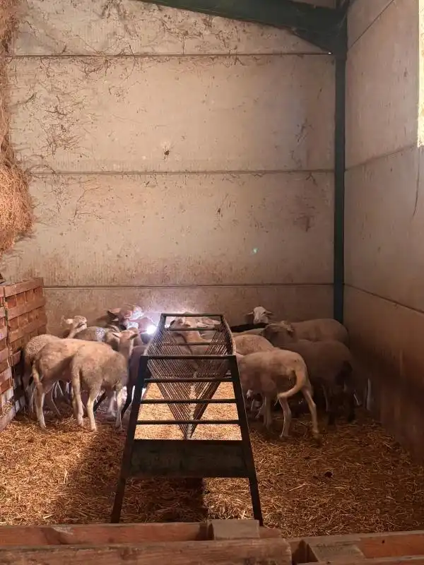 Vista exterior de Finca rústica en venda en El Saucejo amb Aire condicionat, Calefacció i Moblat