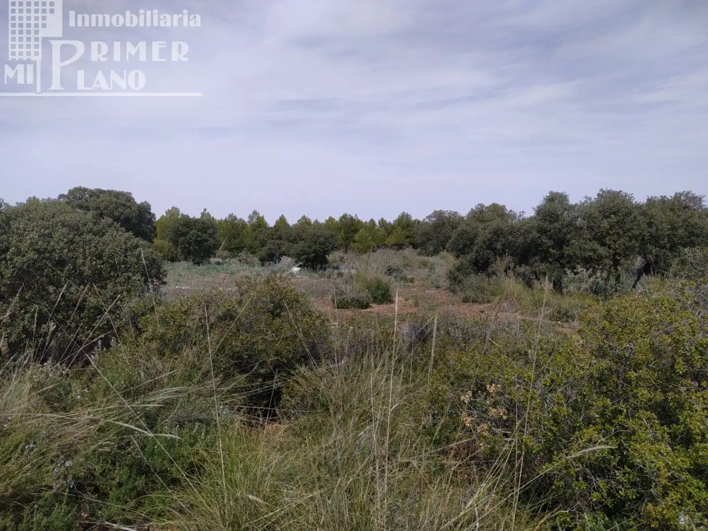 Finca rústica en venta en Socuéllamos