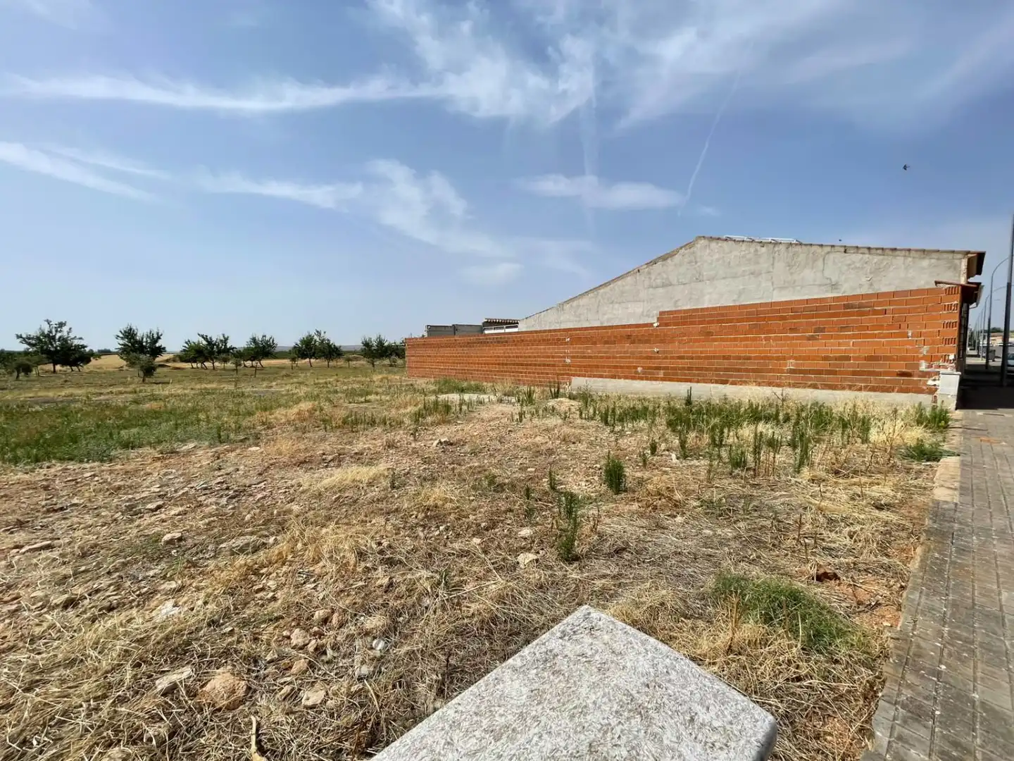 Terrenos y solares en venta en Moral de Calatrava